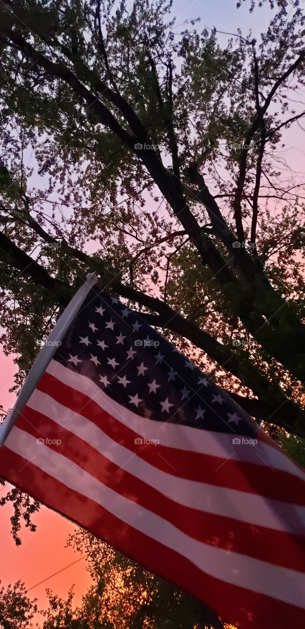 Flag, No Person, Patriotism, Administration, Outdoors