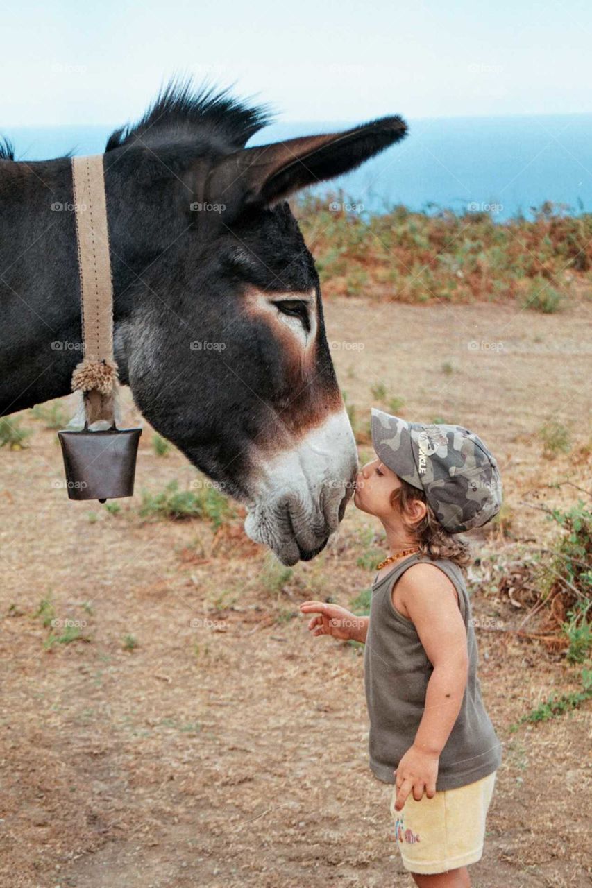 Young boy sharing a tender moment with his animal friend