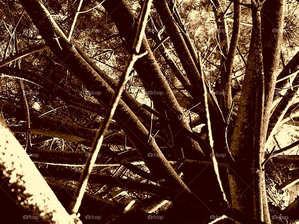 Life is a climb museum of art.