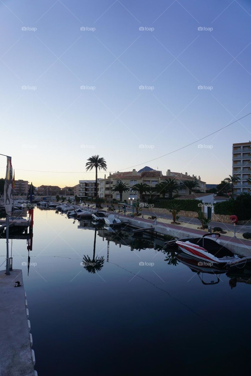 Port#boats#palm#reflect#sea