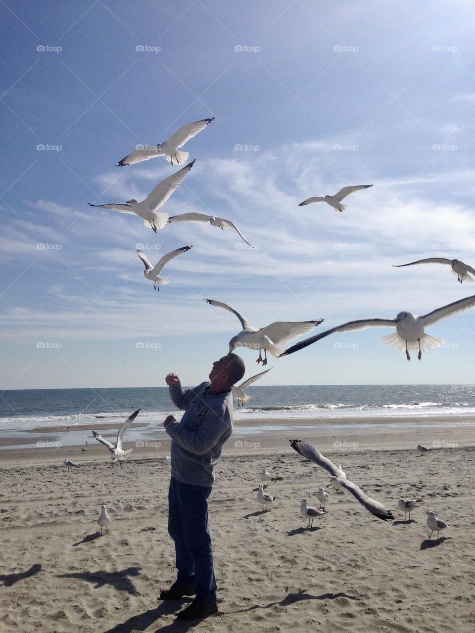 Flight of the Sea Gull’s- along the beach of Crystal Coast at Emerald Isles, North Carolina. 