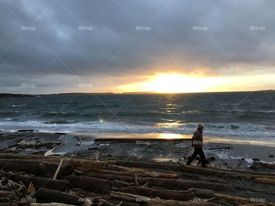 Man and dog by the beach