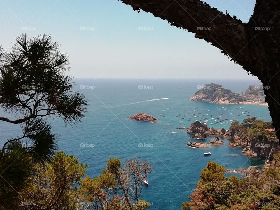 Tossa de mar