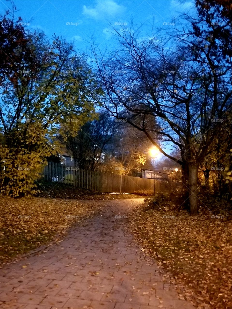 evening walk