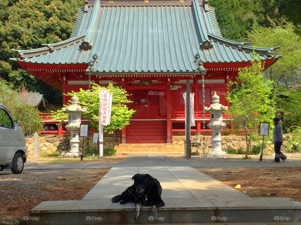 Japanese Buddhist Temple