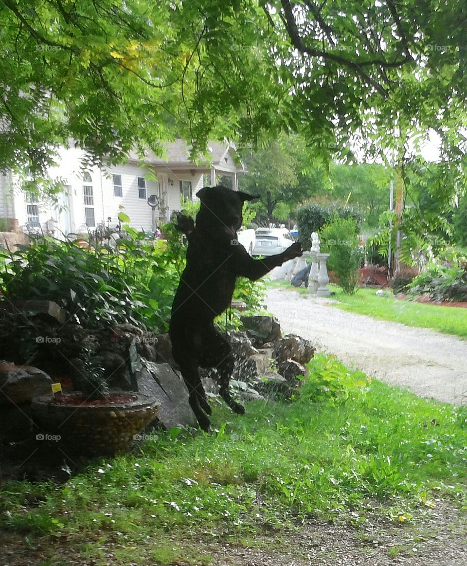 Playing with the water hose