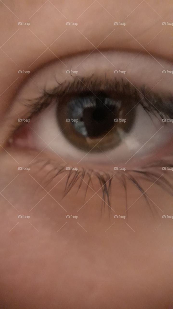 eye