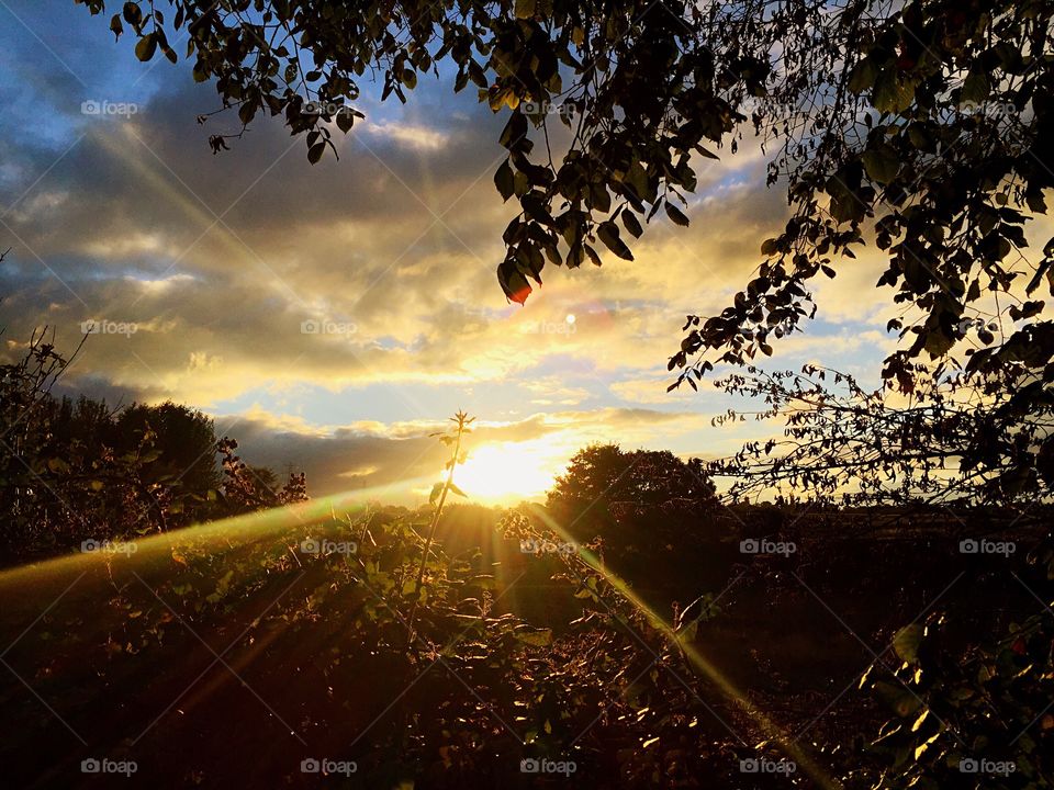 Early evening sunset 