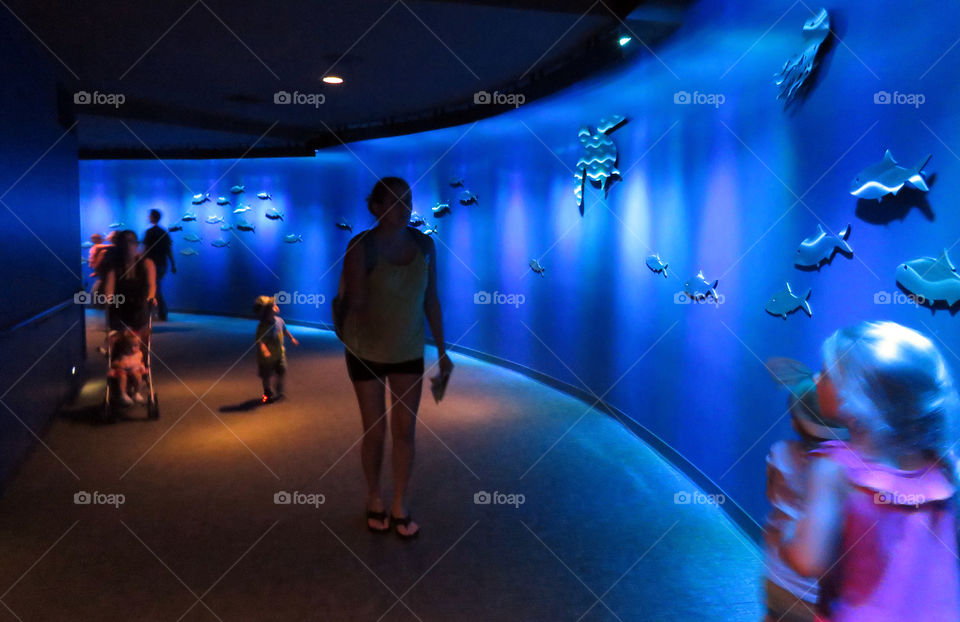 At the Norwalk Aquarium, people go from exhibit to exhibit.