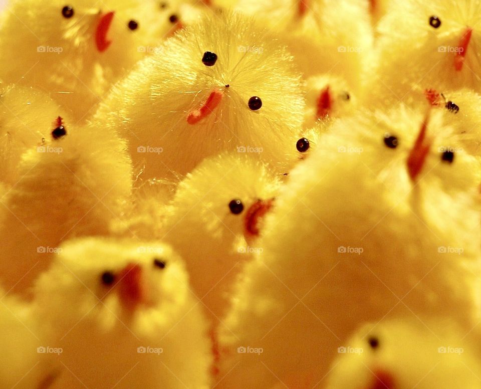 Toy Easter chicks with beady eyes in a large group
