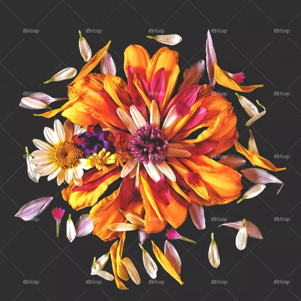 Petal Art