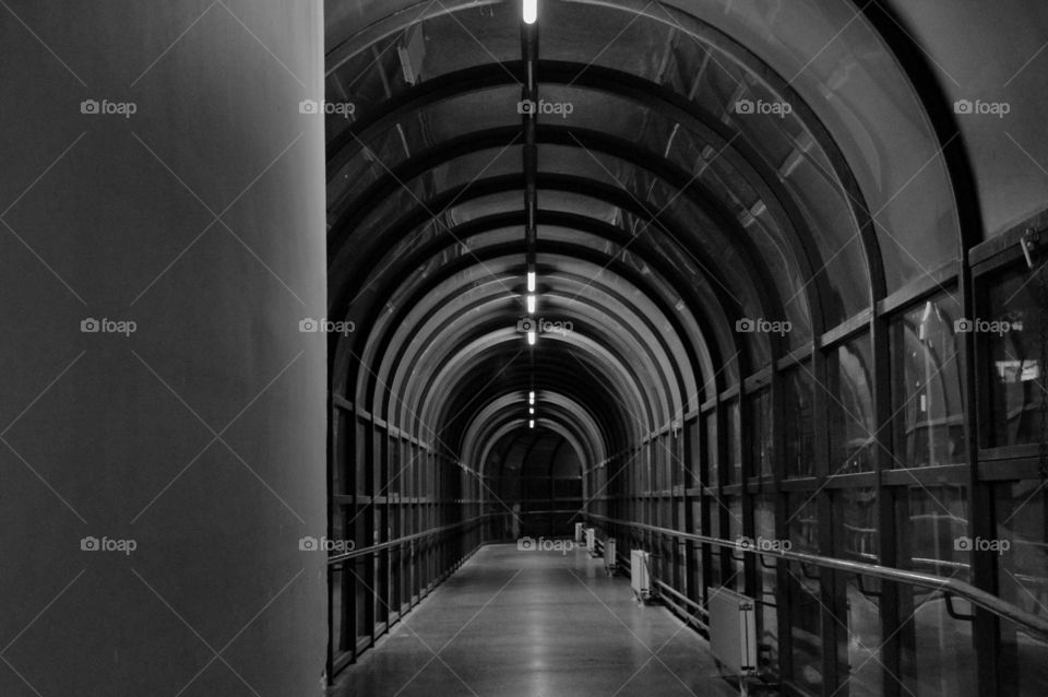 Tunnel of life and death