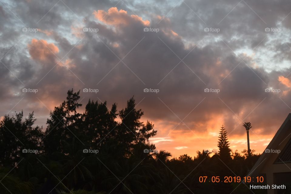 Skyline, vibrant colors, sunset, clouds and trees, orange and Grey colors!