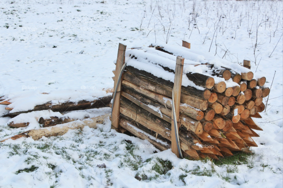 snow winter nature wood by twilite