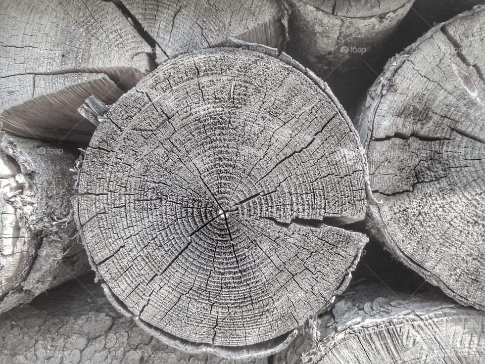 background and texture from wood