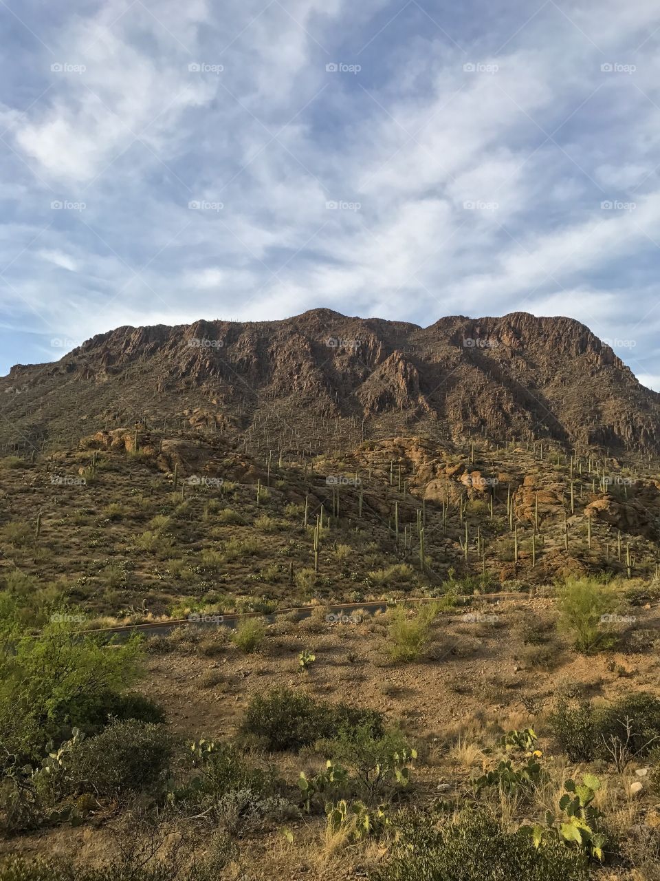 Nature - Desert Mountain Landscape 