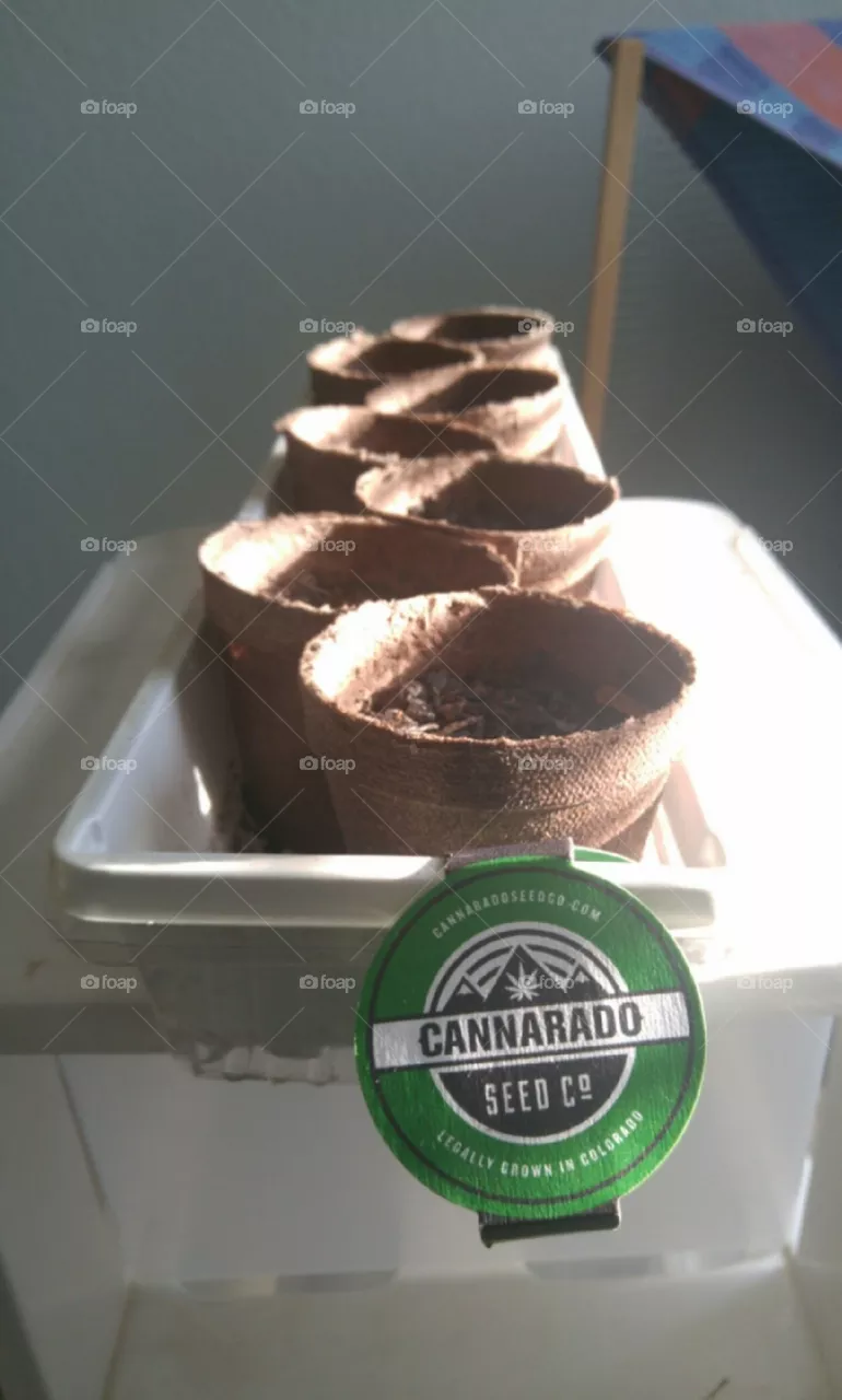 Colorado❤
