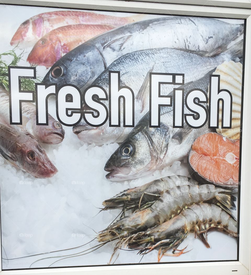 Fresh Fish