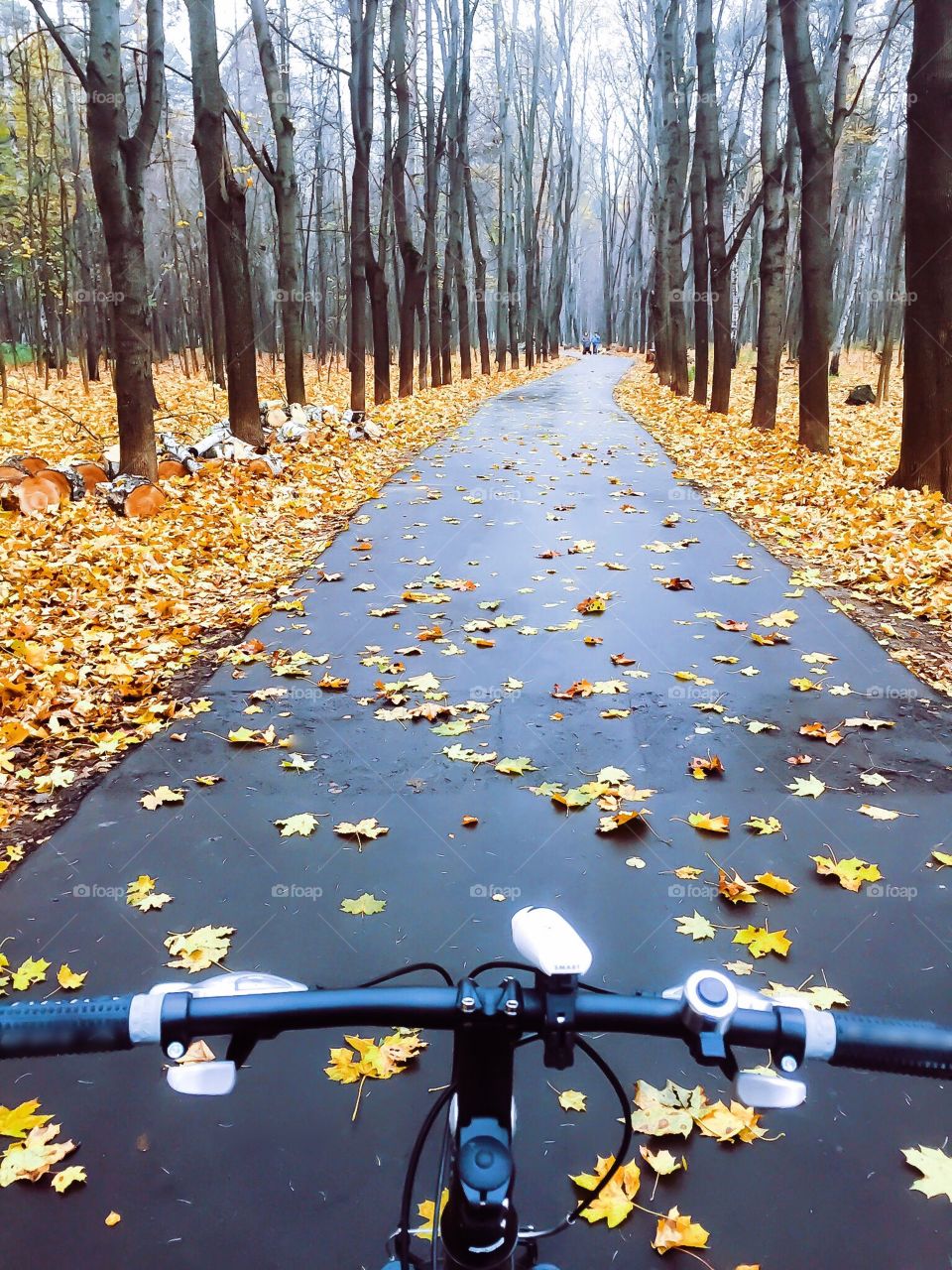 On cycling in the park in Autumn 