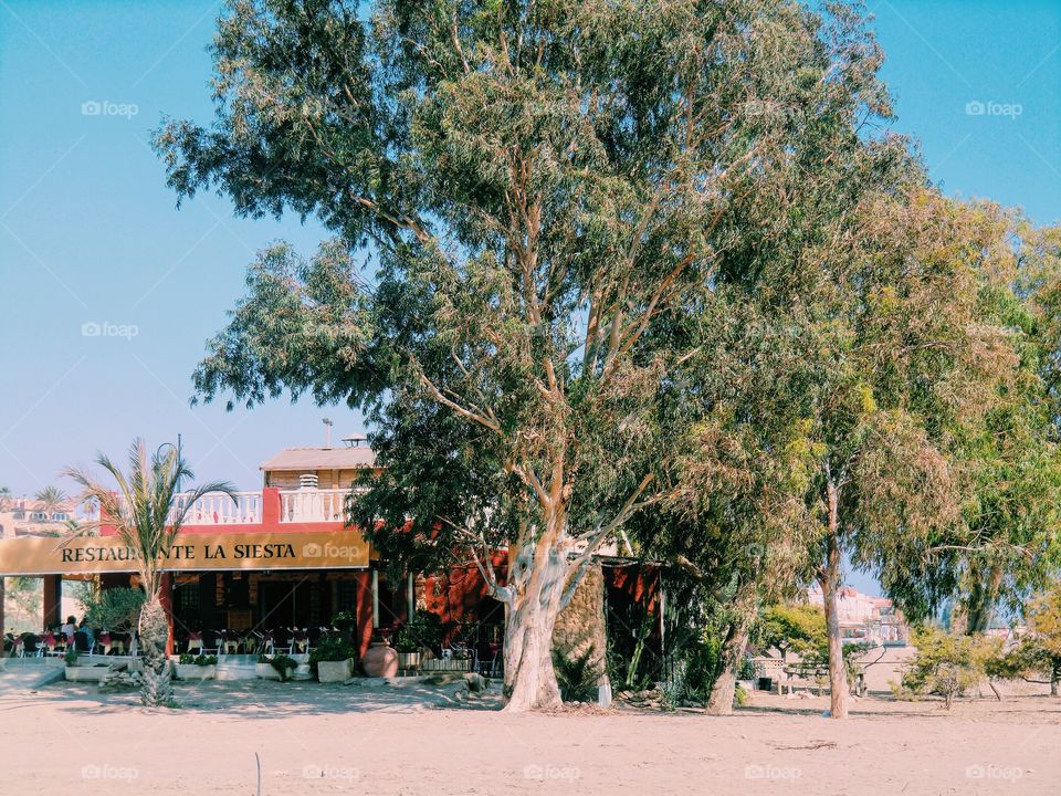 Small beach restaurant in mazarrón 