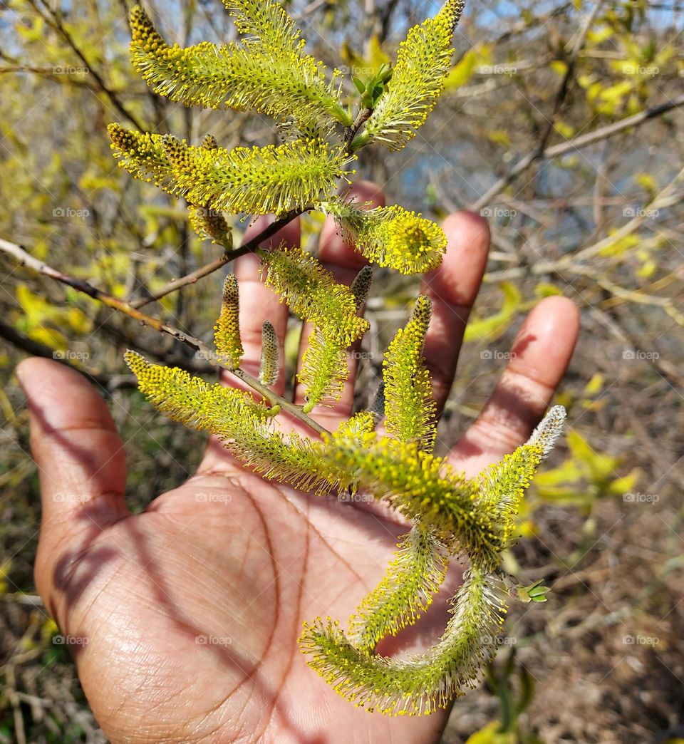 Holding nature in the Palm of your hand on a beautiful summer day is awesome