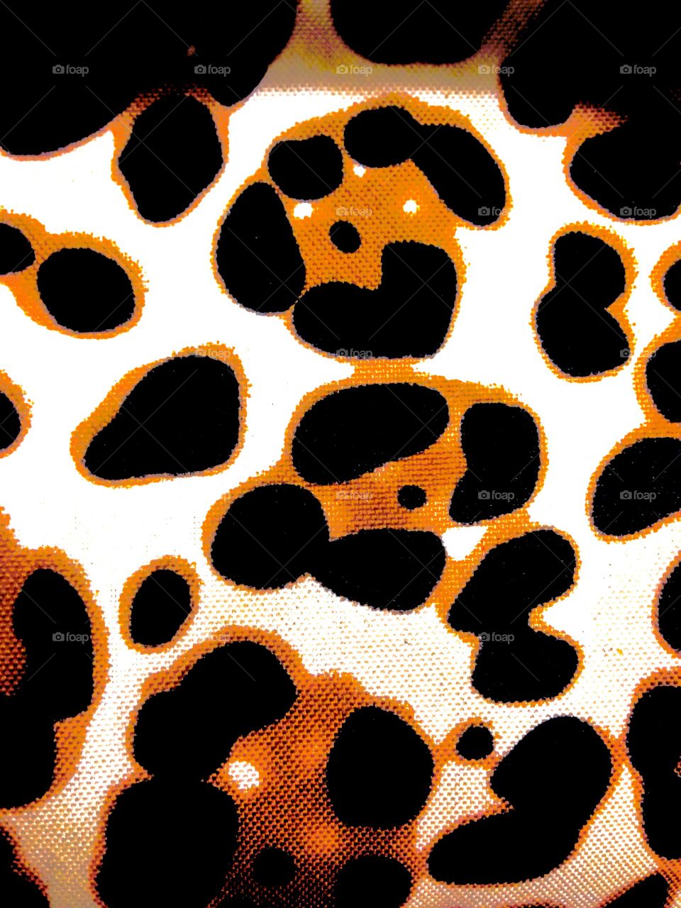 Save Our Leopards 

Published by:
HappyBrownMonkey 