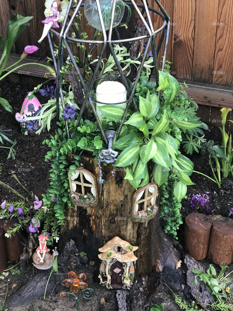 Fairy garden