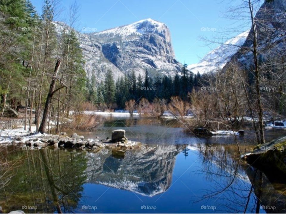 Beautiful reflection in the lake