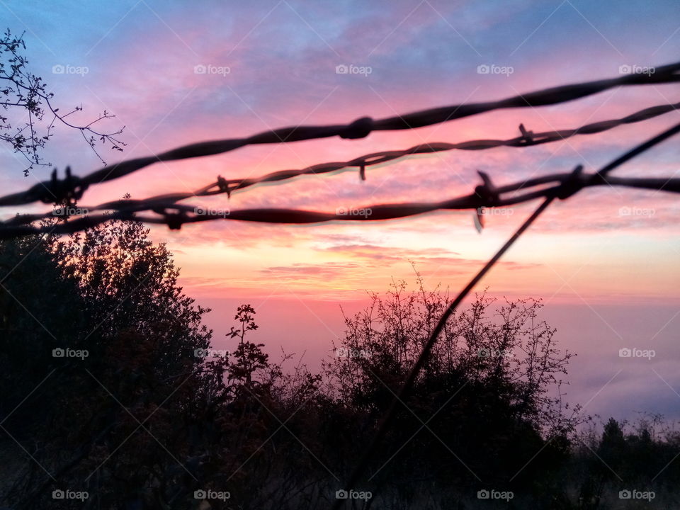 Wire Sunset