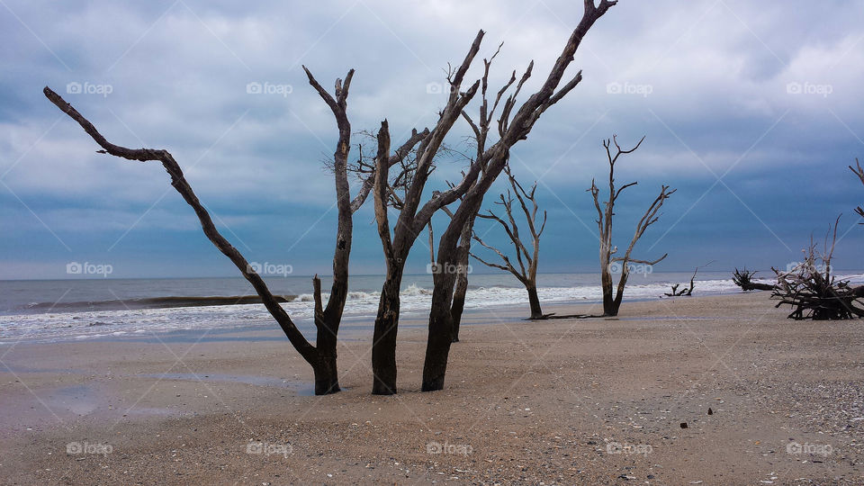 Botany Bay. Another view of the "Bone yard" on Botany Bay. 