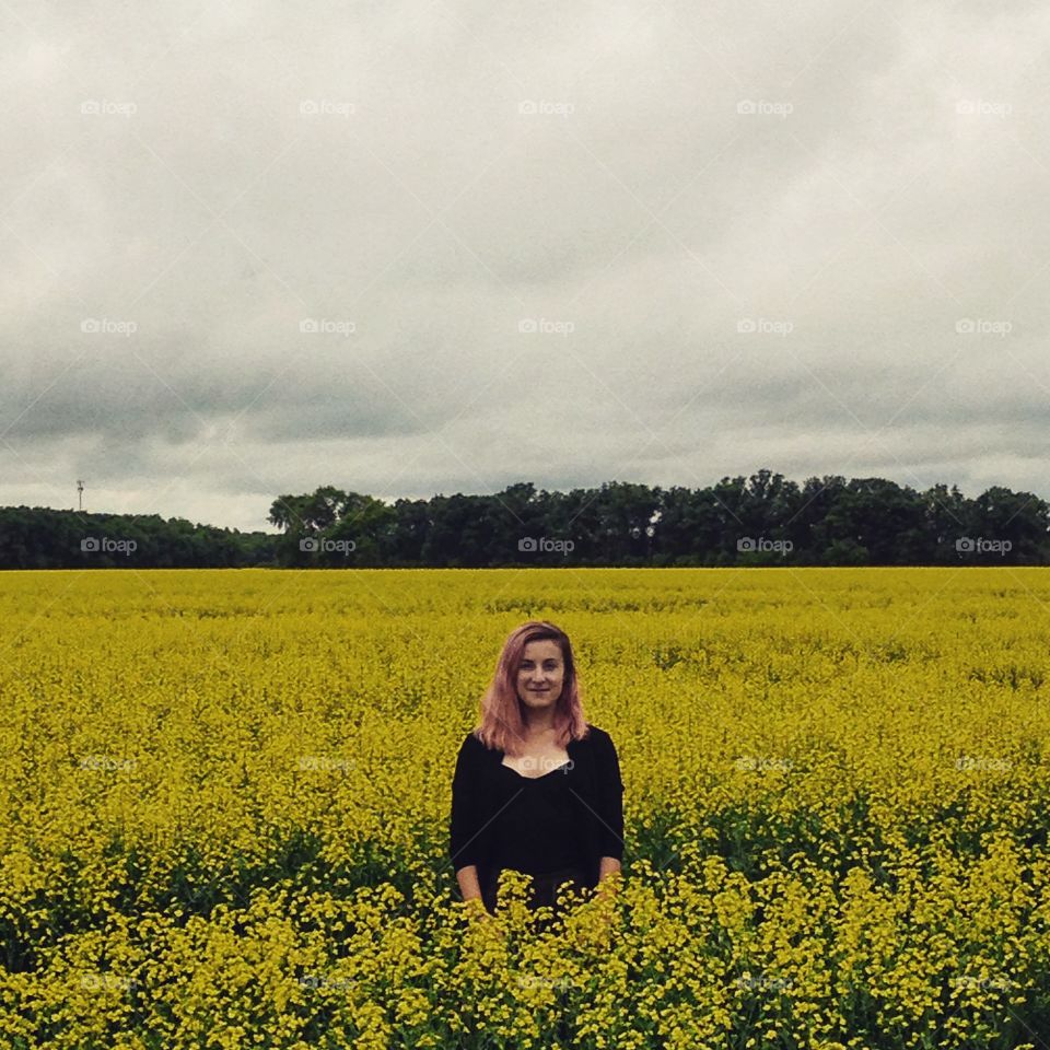 Yellow fields