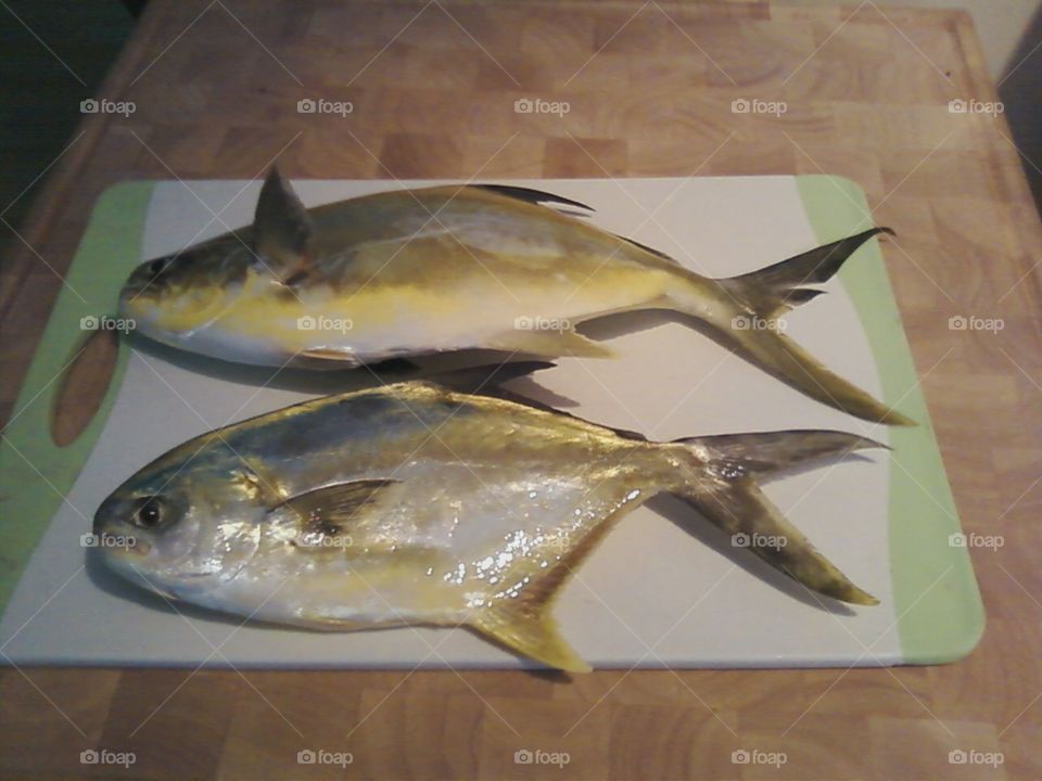 Pompano