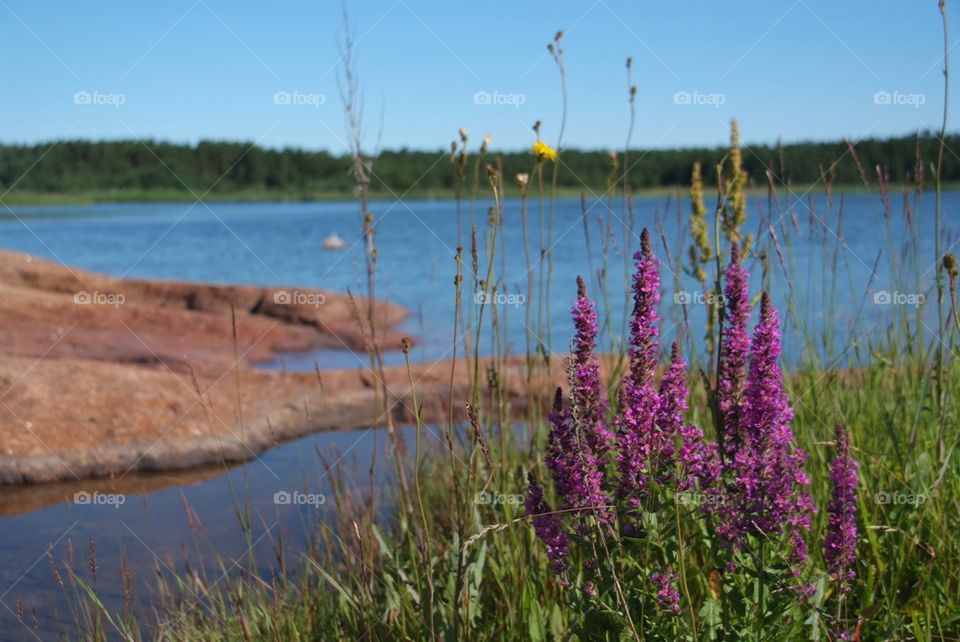 Åland Archipelago