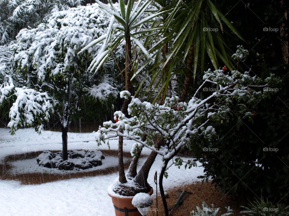 Snow in Barcelona