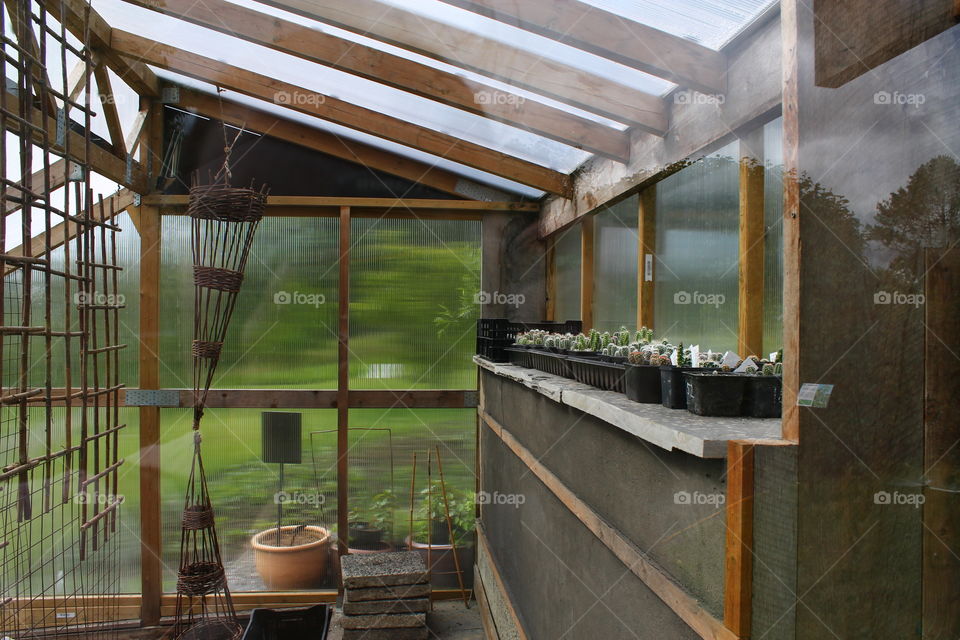 Inside our greenhouse with small mini cacti / cactus 