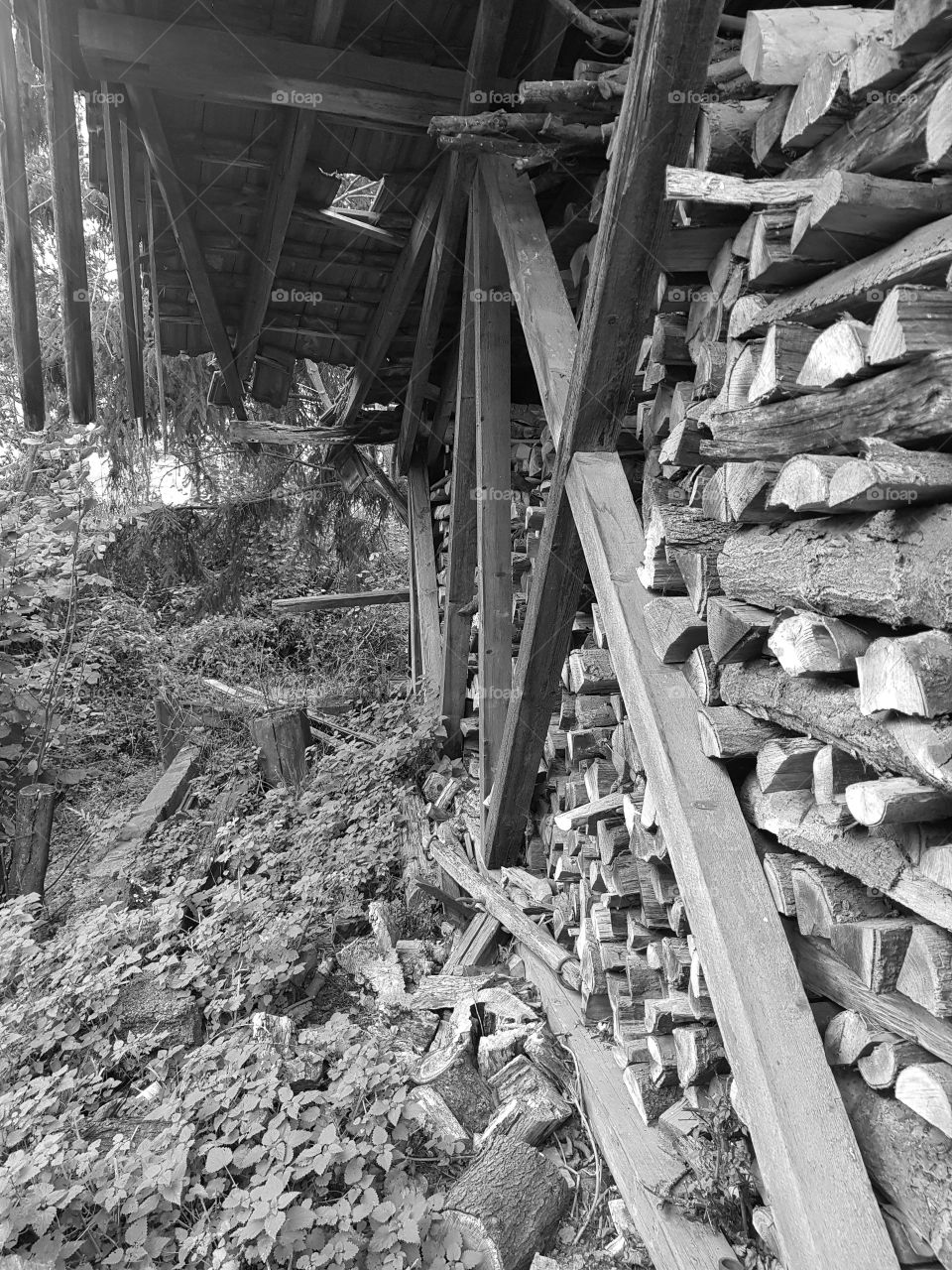 old farm stable with wood stump