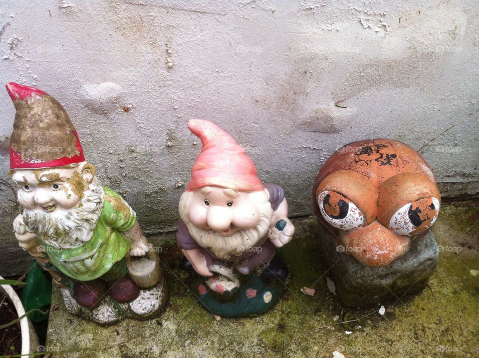 Gnomes and Ladybird. Gnomes and Ladybirds in our garden they are quite weathered.
