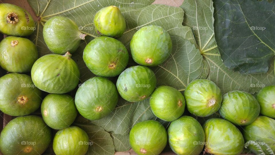 summer figs