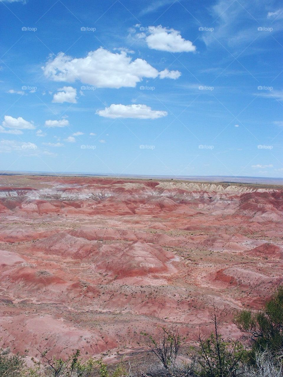 Painted Desert