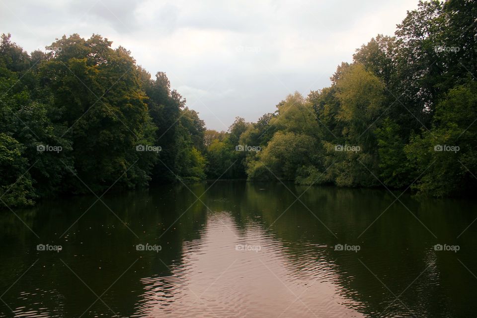 Tranquility, calm water, lake, trees, park, early autumn, cloudy sky, melancholic
