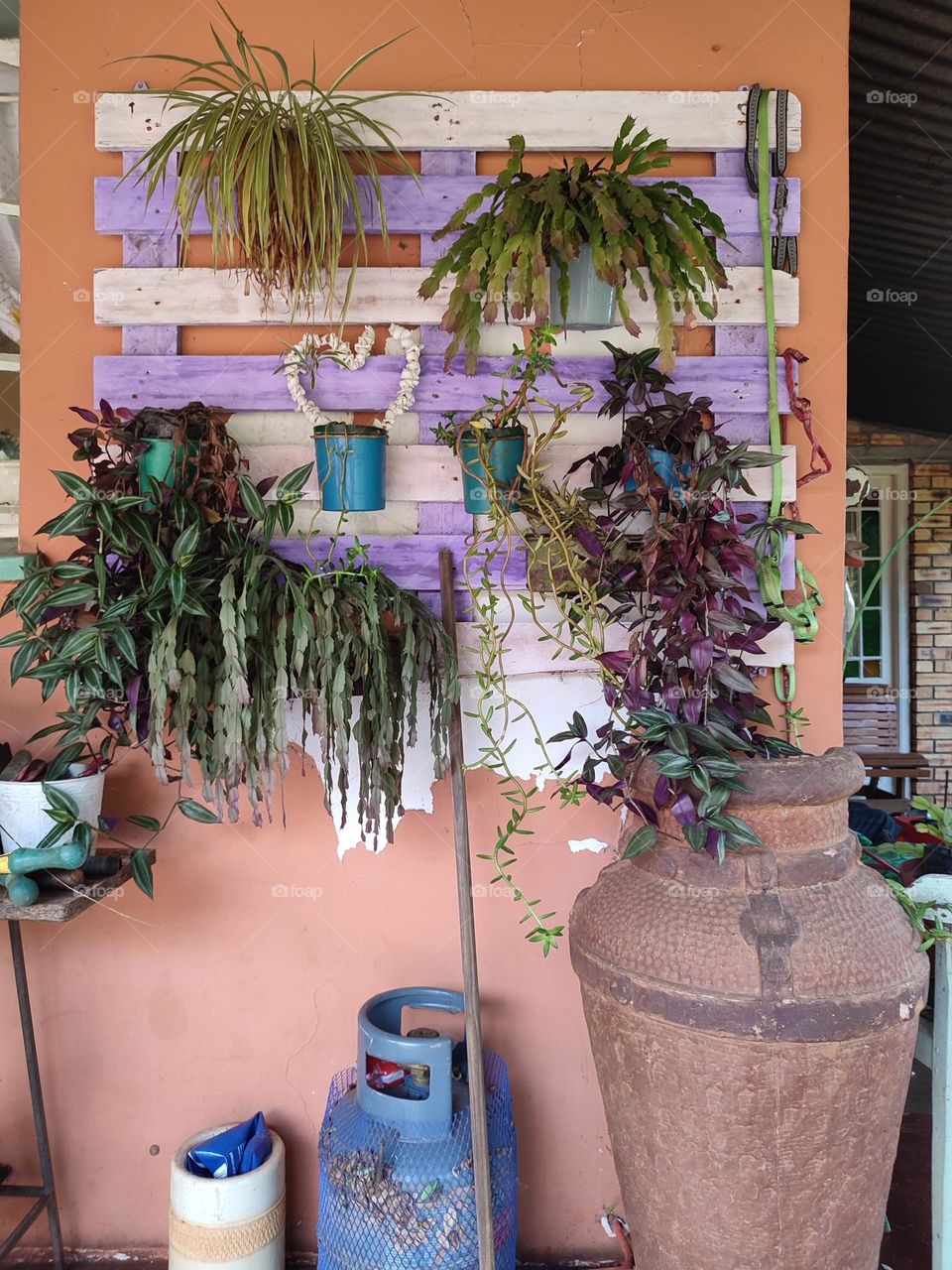 Wall art with pot plants