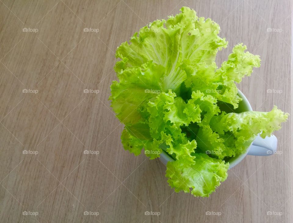 Lettuces 
