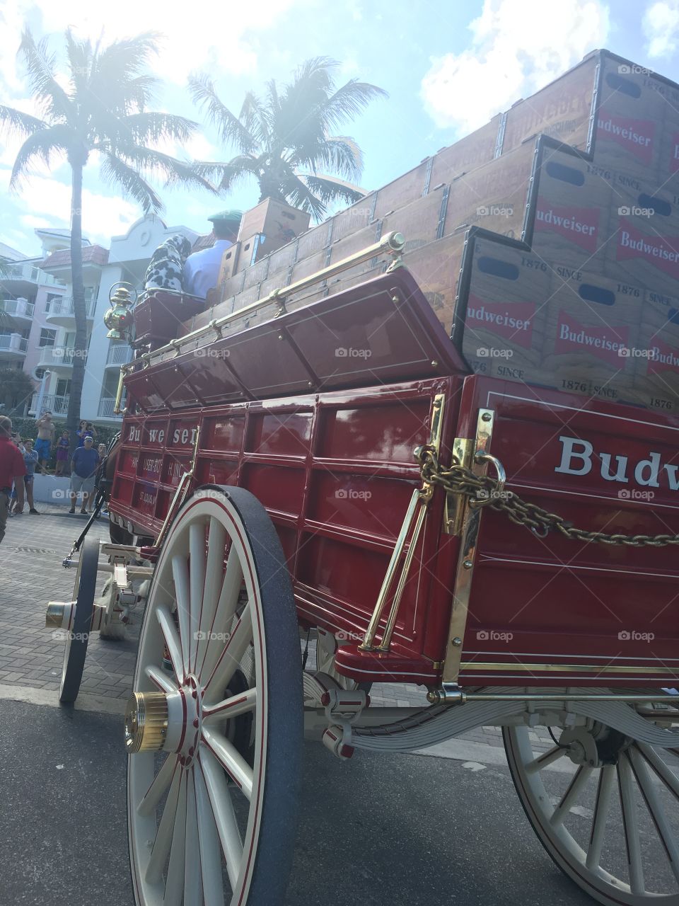 Budweiser wagon Clydesdale parade