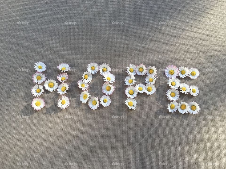 Message written with spring daisies 
