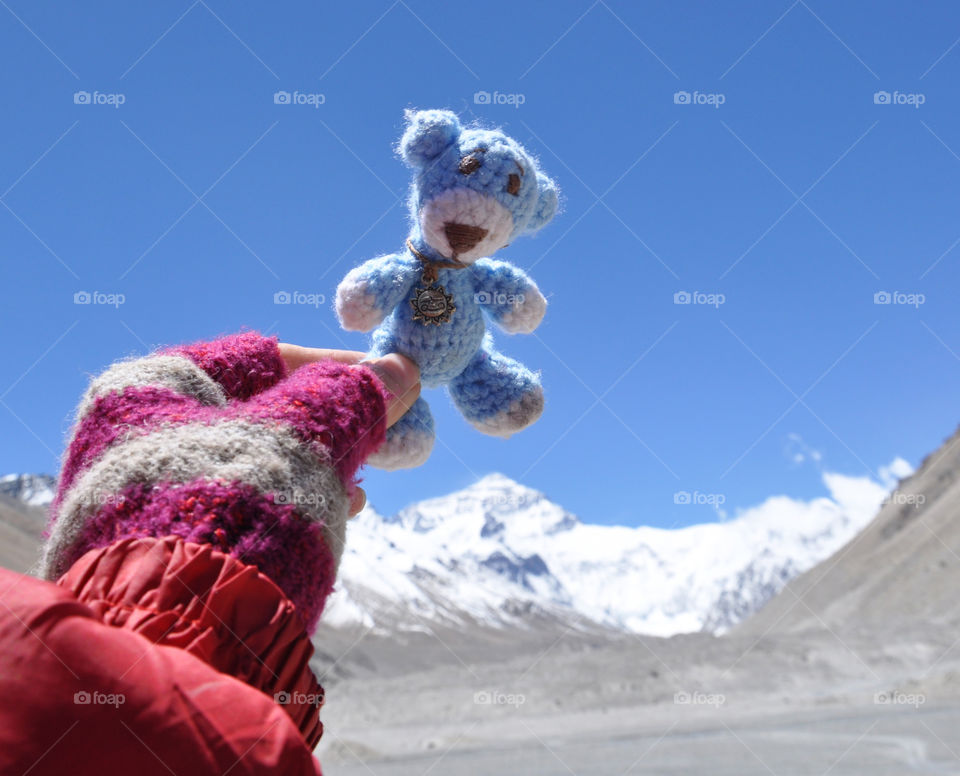 Blue bear at Everest mountain 