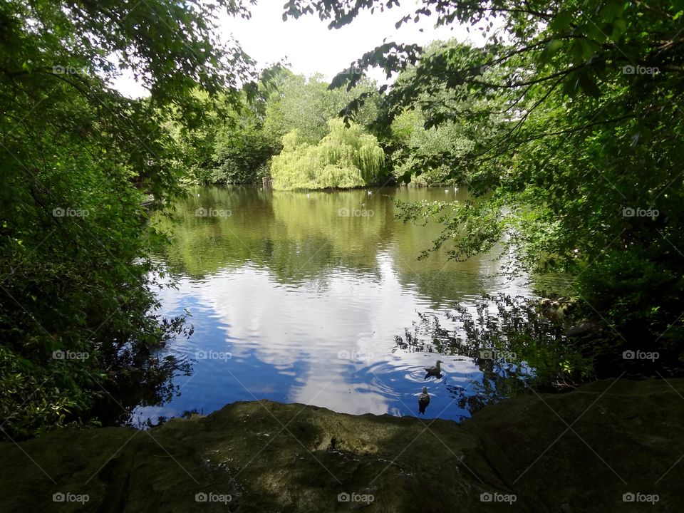 Pond at St. Stephen's Green