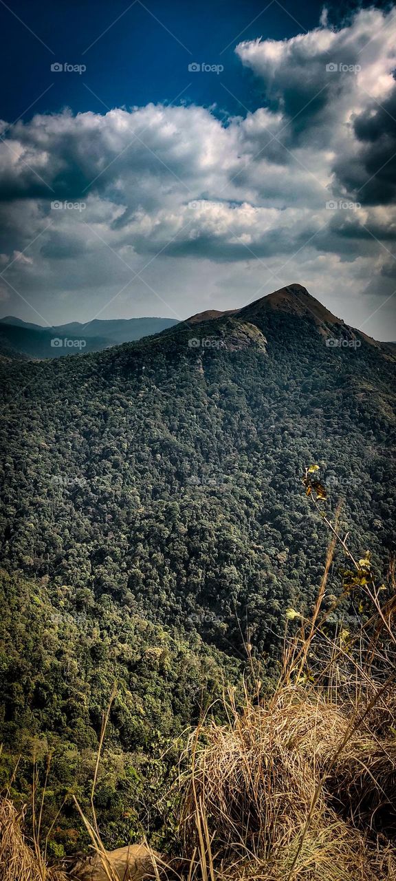 Mountain Valley bisile view point