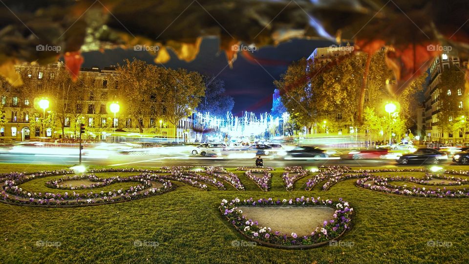 Luces de navidad 
Christmas lights