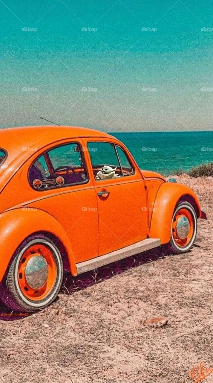 A very beautiful picture, and there is no better picture than it. There is no better picture of green herbs and colorful, red and white roses than it. Glory be to God, the natural and picturesque view, and there is no more wonderful picture than it.