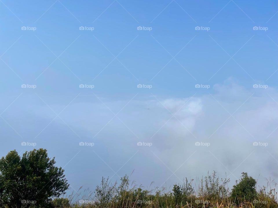 blue sky and white clouds